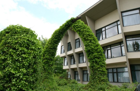 Woonzorgcentrum De Ceder: Gebouw met grote ramen, omgeven door weelderige klimop en groen. (vergroot foto)