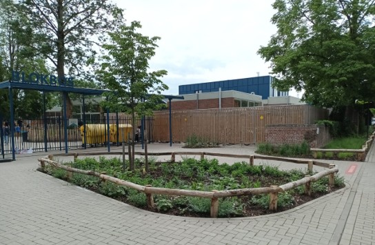 Groen plantperk met houten hek rondom, op schoolplein met toegangspoort en bomen op de achtergrond. (vergroot foto)