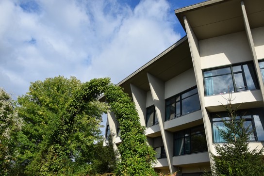 Woonzorgcentrum De Ceder: Gebouw met grote ramen, omgeven door weelderige bomen onder een blauwe, bewolkte hemel. (vergroot foto)