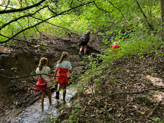 Vier kinderen wandelen door een bos en steken een ondiepe beek over tussen bomen en struiken. (vergroot foto)